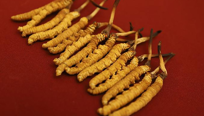 ��ݵĹ�Ч������ ���ͼƬ